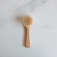 wooden-mushroom-brush